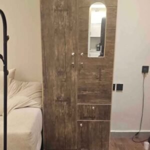 Modern Brown Cabinet with 2 Doors